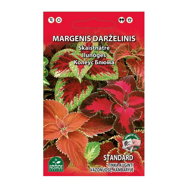 MONIVUOTINEN Coleus
