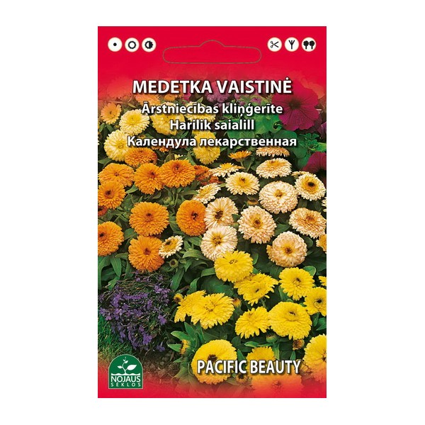 MEDETKA APTEEKKI
