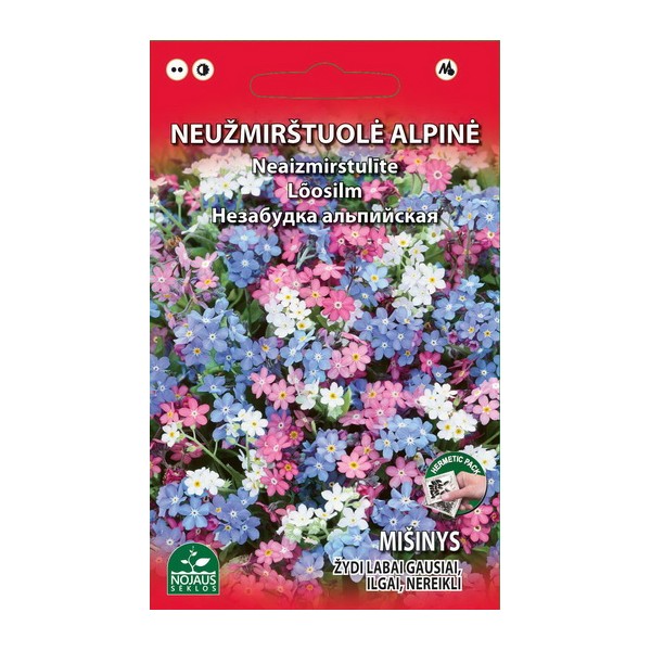 Alpine forget-me-not