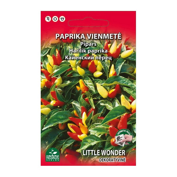 Capsicum annuum LITTLE WONDER