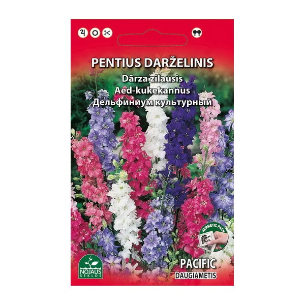 Delphinium cultorum perennial
