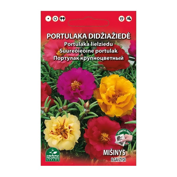 PORTULACA SEOS