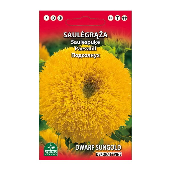 Sunflower common