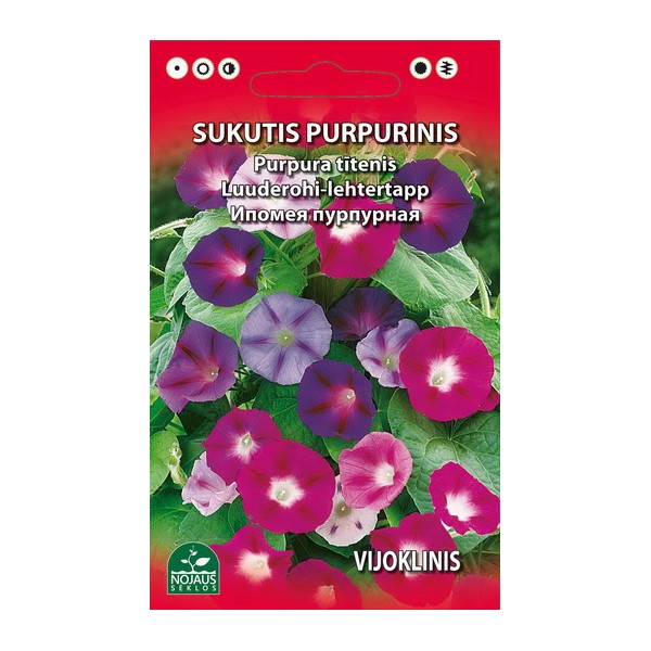 Elämänlangat  hiipivä