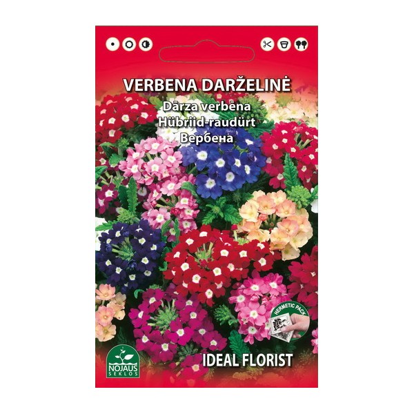 VERBENA MIX