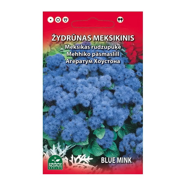 Bluemink (Ageratum houstonianum)