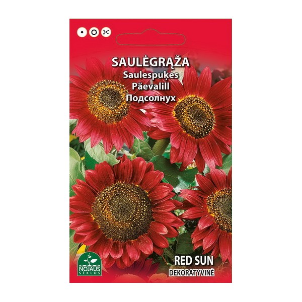 Sunflower Decorative RED SUN