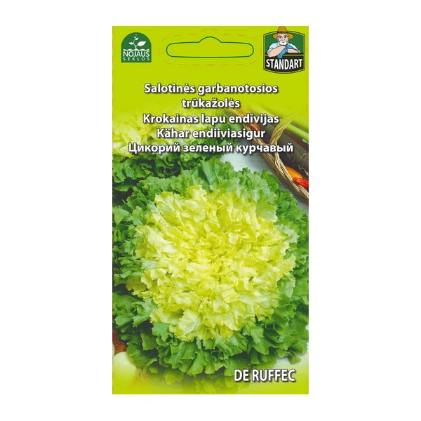 Sikurisalaatti