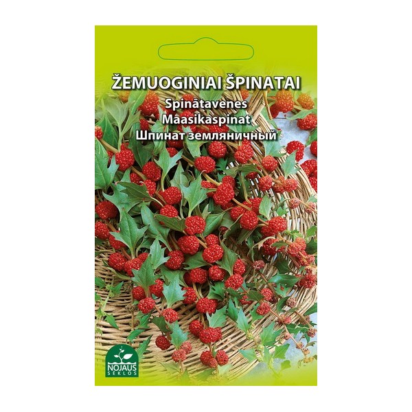 STRAWBERRY SPINACH 0,3g