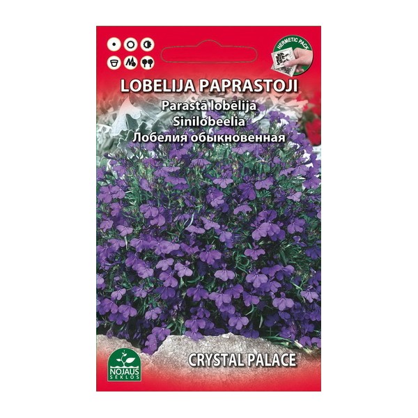 Lobelias (blue)