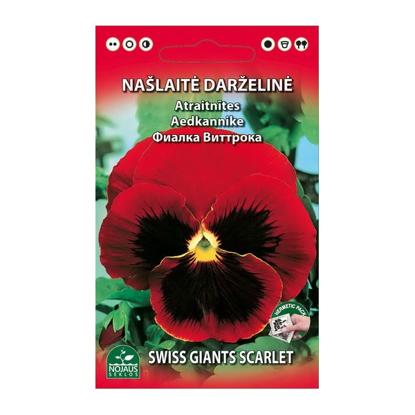 Viola, pansy (red)