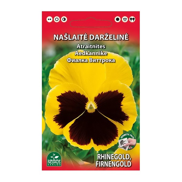 Viola, pansy (yellow)