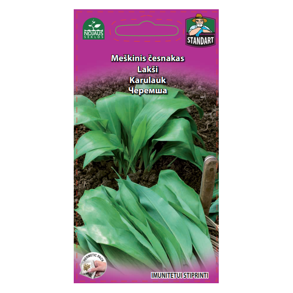Ramsons (allium ursinum)