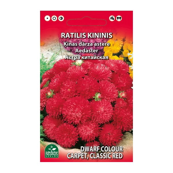 Chinese Aster dwarf (RED)