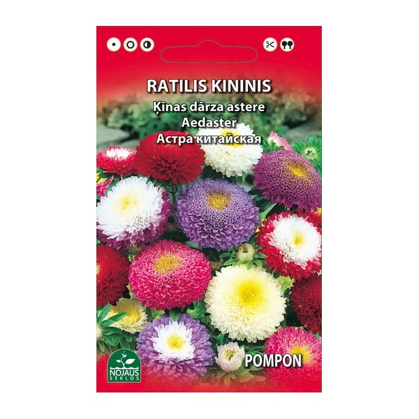 Chinese Aster POMPON MIX