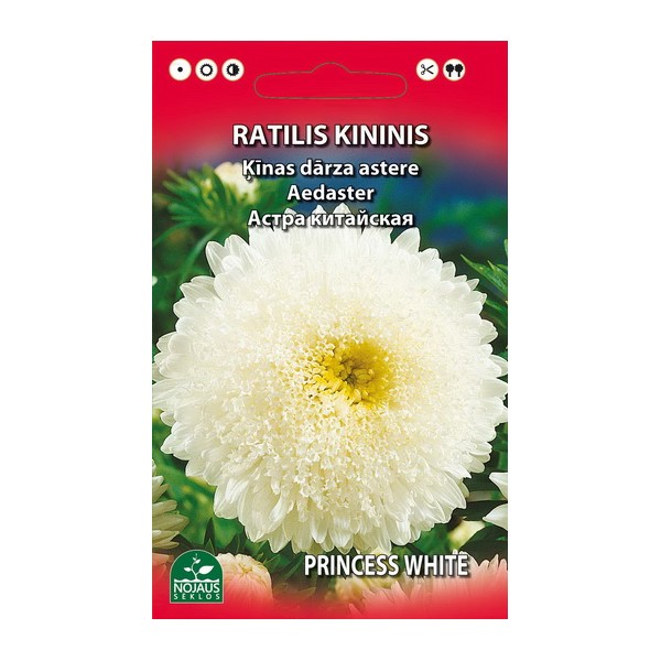 Chinese Aster (White)