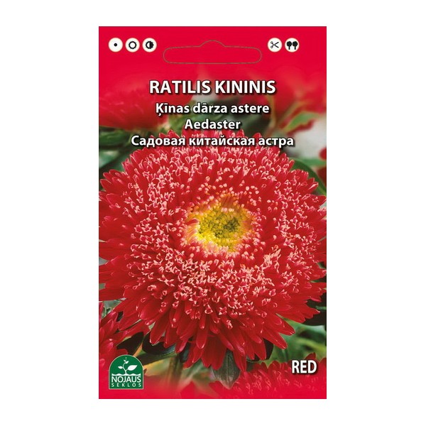 Chinese Aster (red)