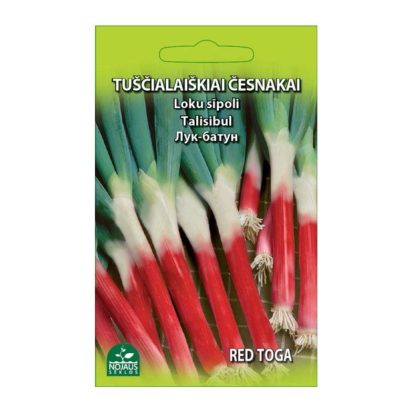 Red Toga Valkosipuli (talvisipuli)