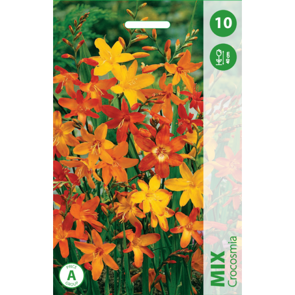 Ruostekukat (Crocosmia) mix