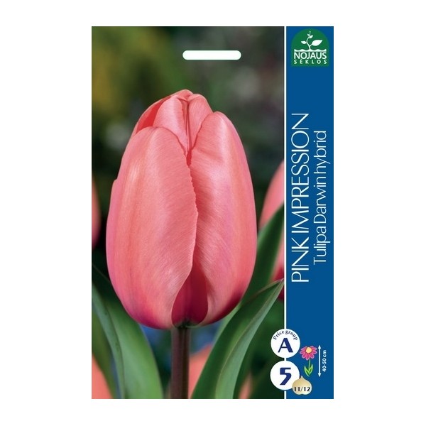 TULIPS PINK IMPRESSION