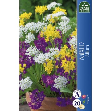 Allium Mix
