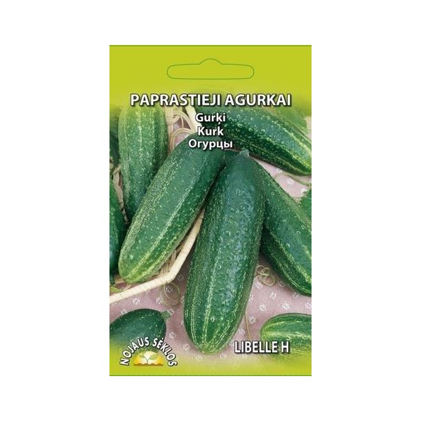 CUCUMBERS LIBELLE H (short)