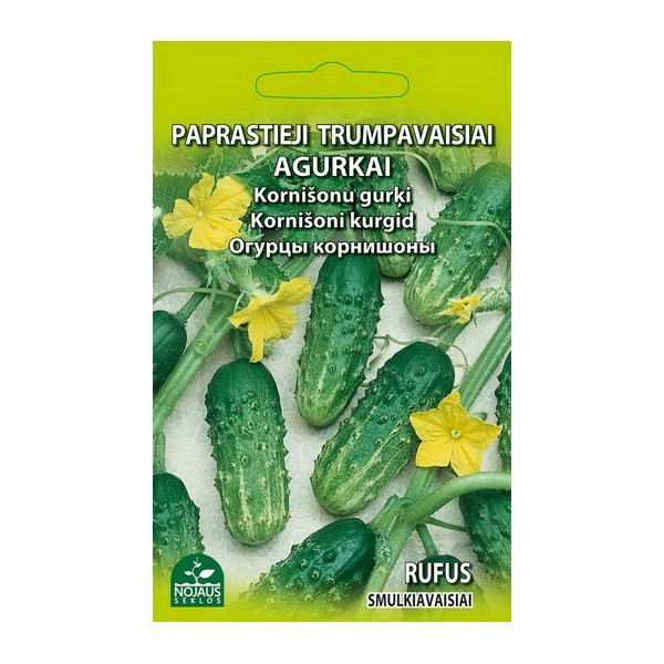 CUCUMBERS RUFUS (short)