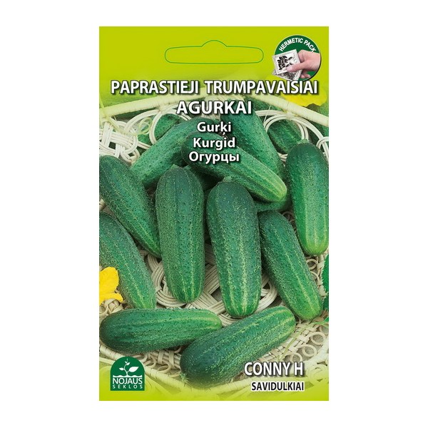 CUCUMBERS (short) CONNY H