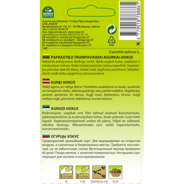 HOKUS CUCUMBERS (short)