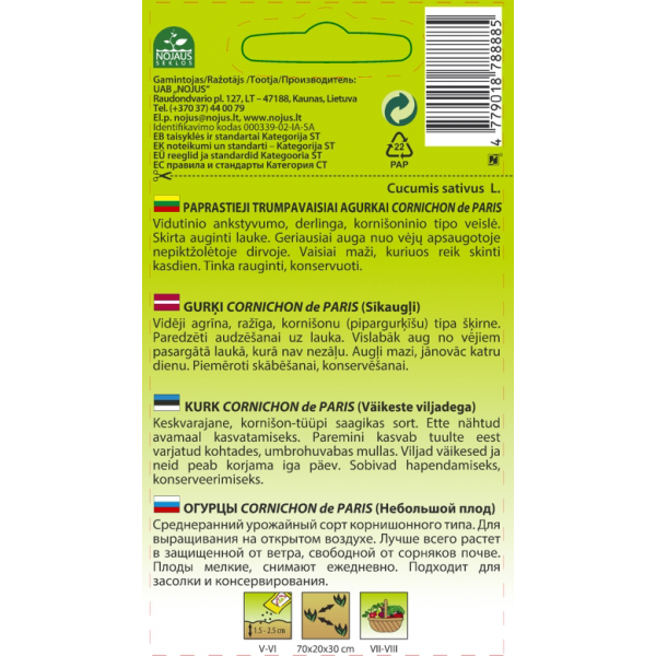 CORNICHON DE PARIS CUCUMBERS (short)