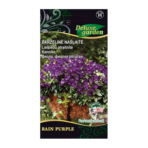 Orvokit RAIN PURPLE