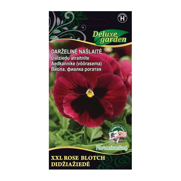 Viola, pansy XXL ROSE BLOTCH