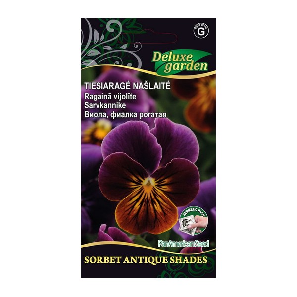 Viola, pansy SORBET STANDART ANTIQUE SHADE