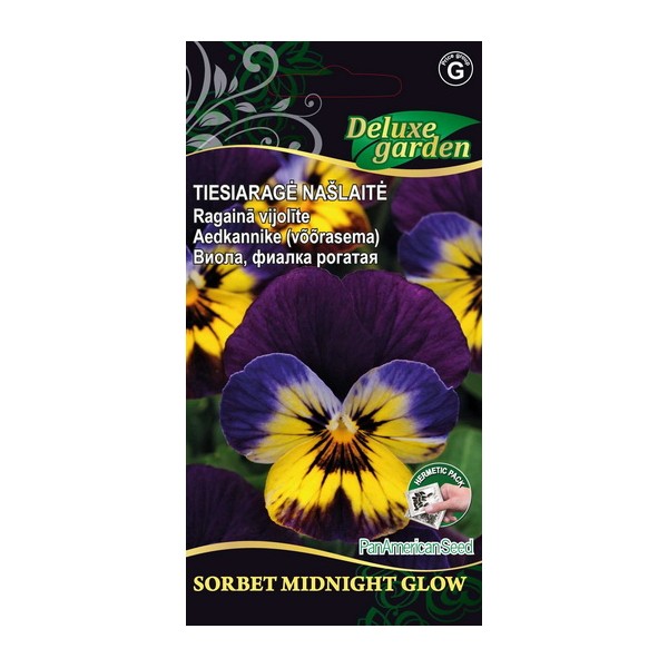 Viola, horned pansy SORBET STANDART MIDNIGHT GLOW