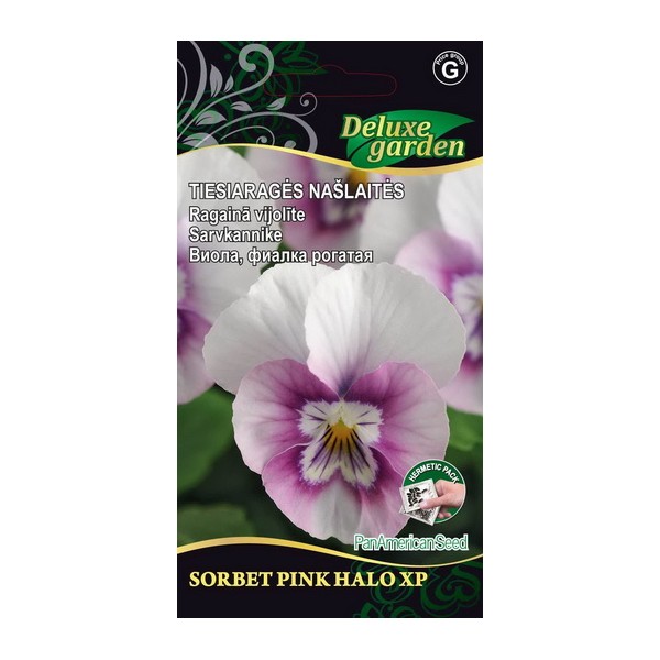 Viola, pansy SORBET XP PINK - HALO XP