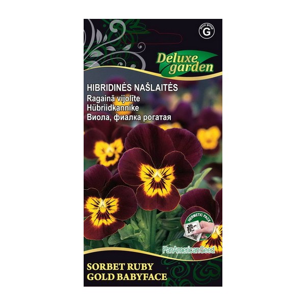 Viola, hybrid pansy SORBET STANDART RUBY GOLD BABYFACE
