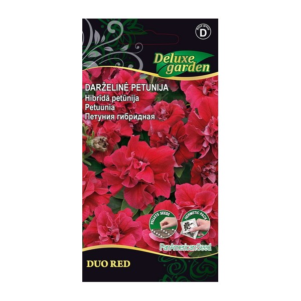 PETUNIA DUO RED