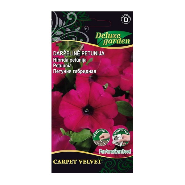 PETUNIA CARPET VELVET
