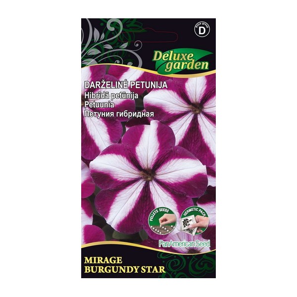 PETUNIA MIRAGE BURGUNDY STAR