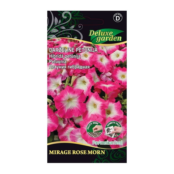 Single Grandiflora Petunia MIRAGE ROSE MORN