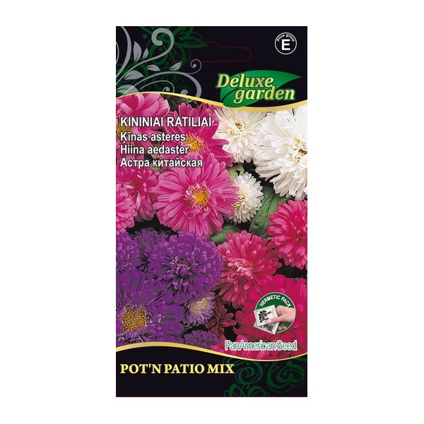 Chinese aster POT'N PATIO