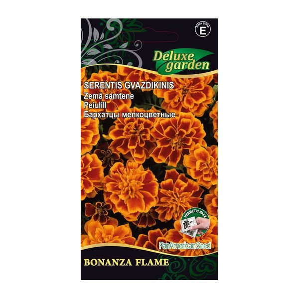 Tagetes patula BONANZA FLAME