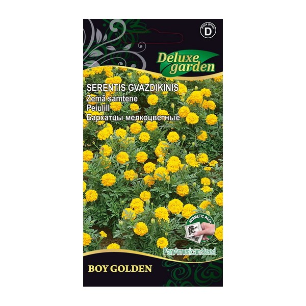 Tagetes patula BOY GOLDEN