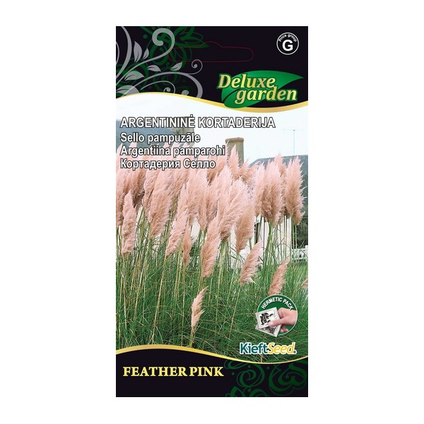 Pampas grass (Cortaderia) FEATHER PINK 600 seeds