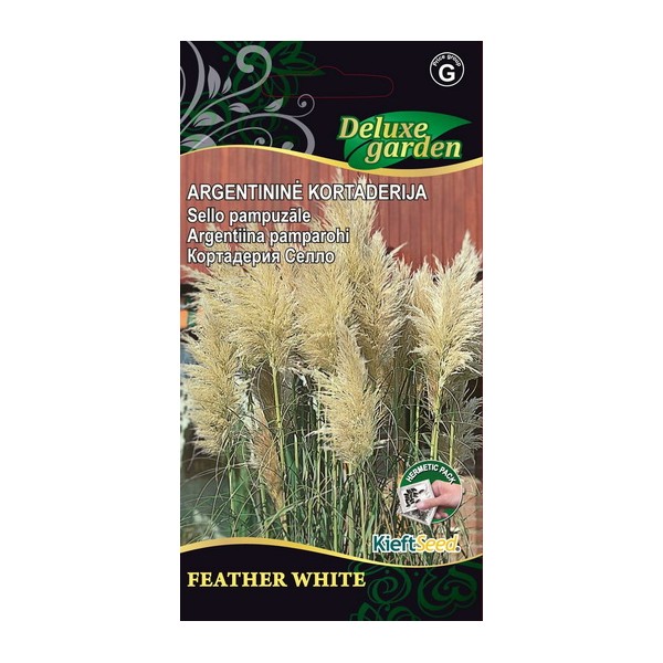 Pampas Grass (Cortaderia ) FEATHER WHITE 600 seeds
