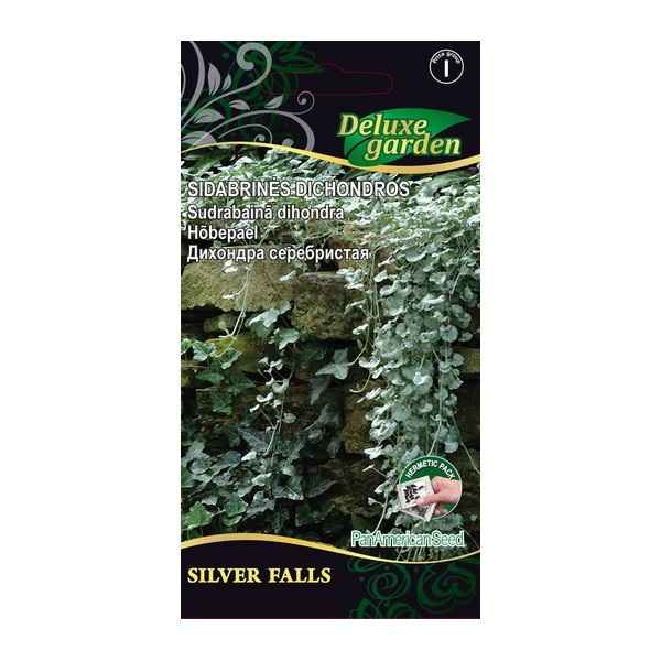 DICHONDRA ponysfoot SILVER FALLS