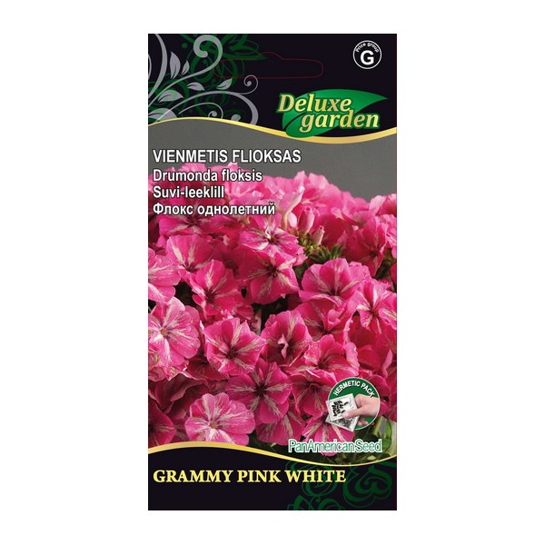 Flox GRAMMY PINK WHITE 10 seed