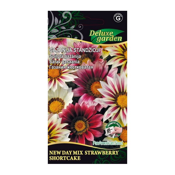 GAZANIA NEW DAY MIX STRAWBERRY SHORTCAKE