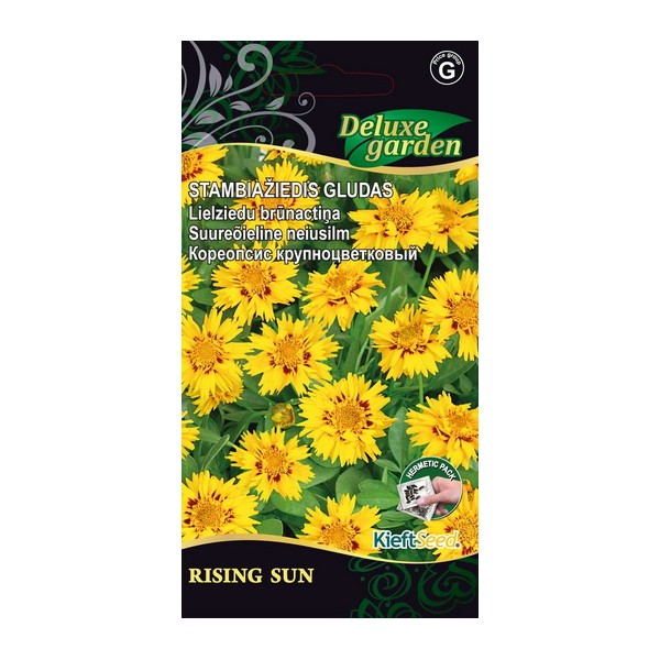Large-flowered tickseed RISING SUN