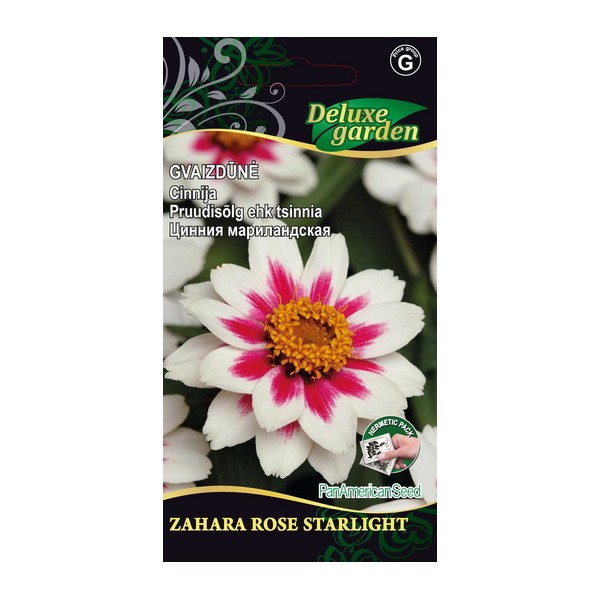 Common zinnia ZAHARA ROSE STARLIGHT
